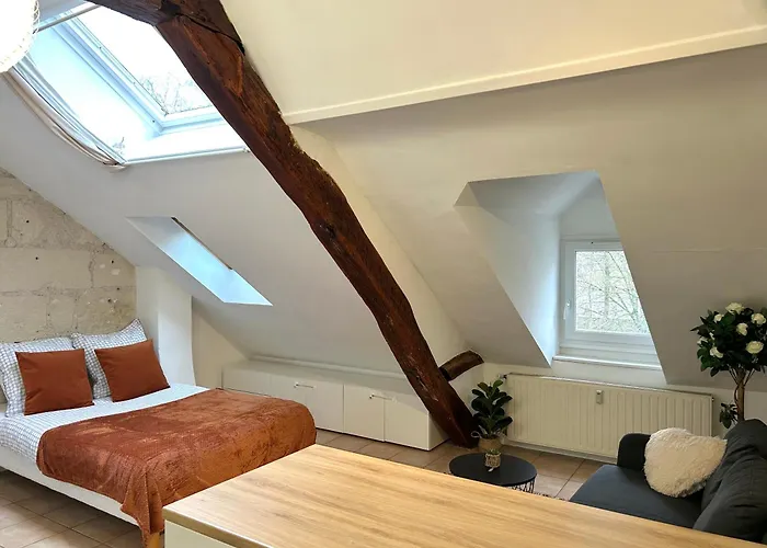 公寓 Terracotta - Quai De La Loire - Cozy 图尔