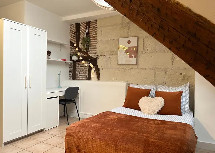 Terracotta - Quai De La Loire - Cozy *