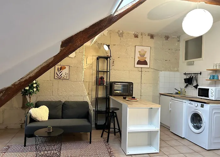 Terracotta - Quai De La Loire - Cozy 图尔