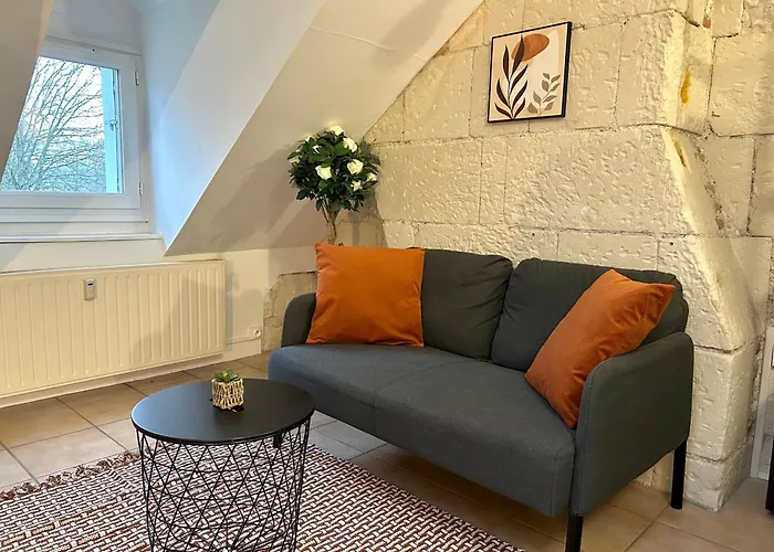 公寓 Terracotta - Quai De La Loire - Cozy 图尔
