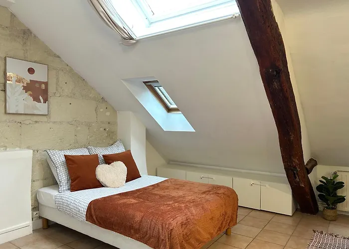 Terracotta - Quai De La Loire - Cozy 图尔