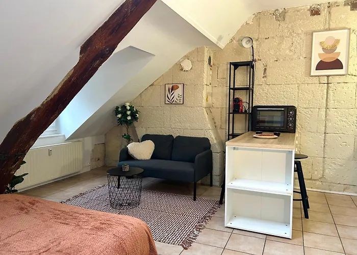 Terracotta - Quai De La Loire - Cozy * 图尔